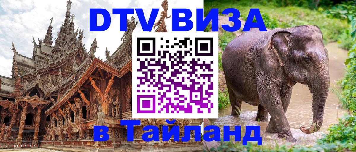 Сколько стоит DTV виза — актуальные цены, оформление даже без документов - Сураттхани 